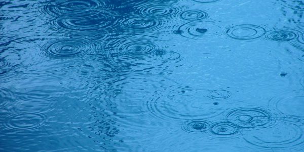 Rain Ripples